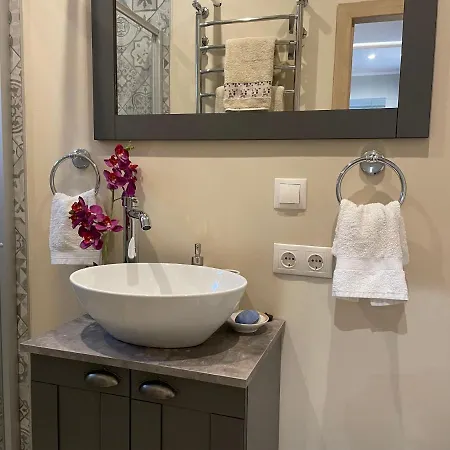 Exquisite 1br Apt W Garden In Center Apartment