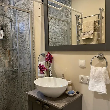 Exquisite 1br Apt W Garden In Center Apartment Riga